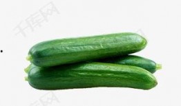 新疆网红吃瓜视频下载,一场视觉盛宴的美食之旅