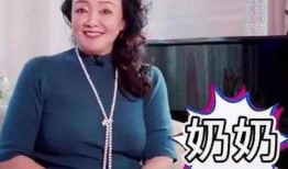 汪小菲妈妈张兰爆料视频,豪门背后的真实故事