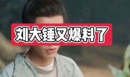 狗崽刘大锤爆料视频大全,视频大全幕后揭秘