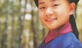 九岁县太爷在线观看,童趣演绎古代智慧传奇